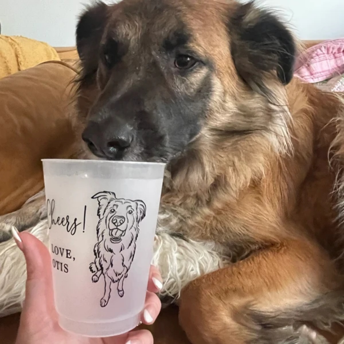 10/50 Bicchieri Personalizzati - Plastic Cup 50Pcs recensione e prezzo